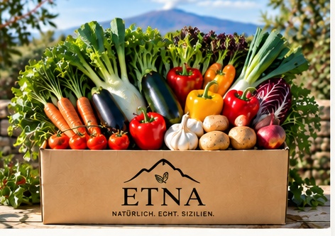 ETNA Gemüsebox Produktfoto