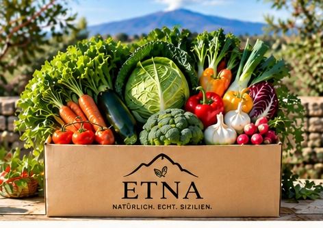 ETNA Gemüsebox Produktfoto