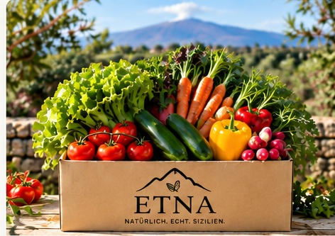 ETNA Gemüsebox Produktfoto