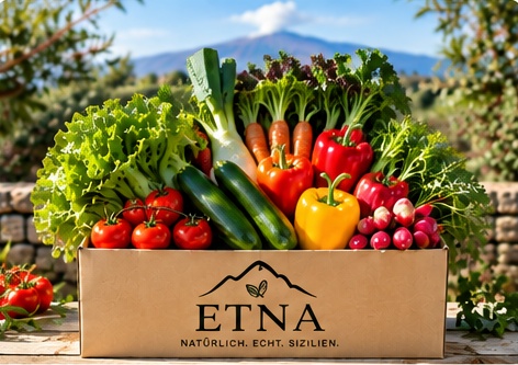 ETNA Gemüsebox Produktfoto
